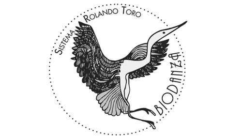 Notícia