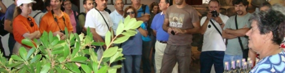 Notícia